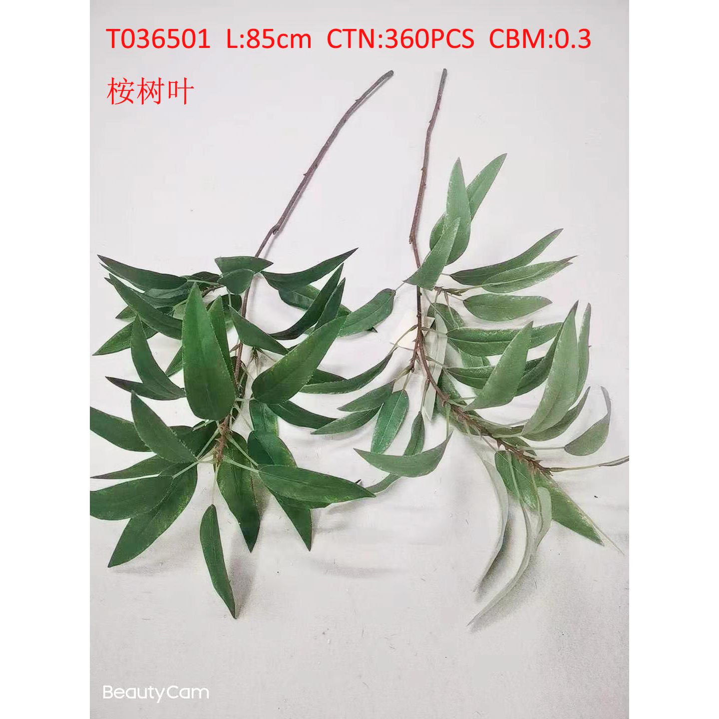 T036501