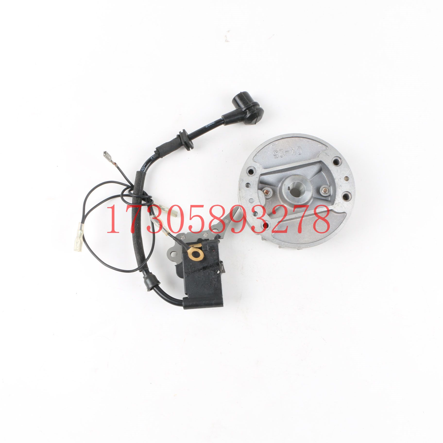 Chainsaw/lawn mower machine parts 2500 flywheel high-voltage package, other garden accessories details Picture