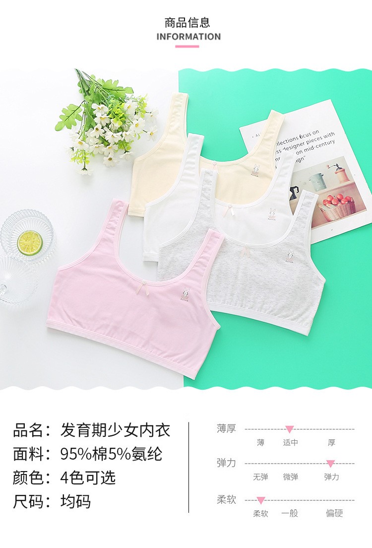 Stepless Fixed Strap Bra Japanese Bow Girly Bra Breathable Back Full Cup Student Wrap undefined