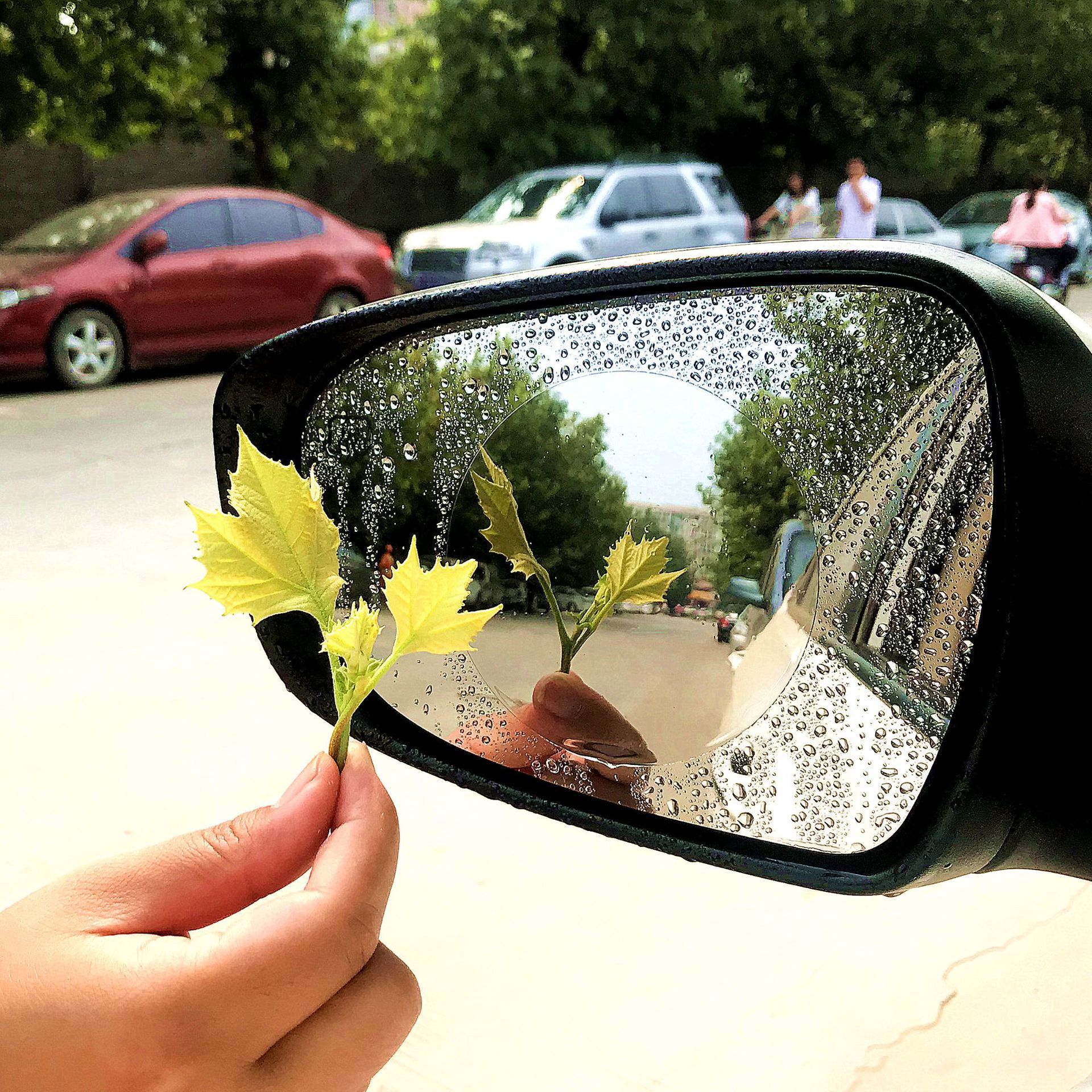 后视镜防雨贴实物图