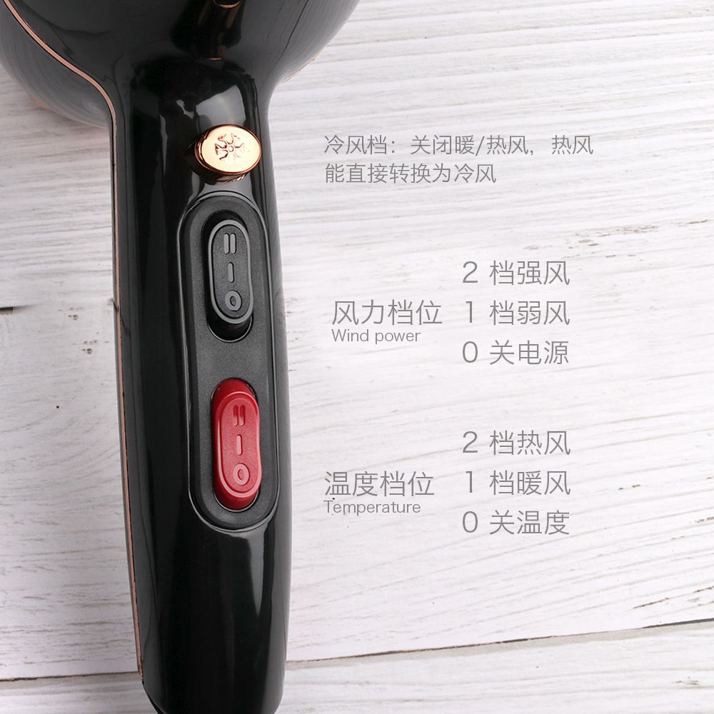 Origen fuente secador de pelo de alta potencia termostático aire caliente y frío 2000W secador de pelo profesional cilindro de aire 8156A Specification image