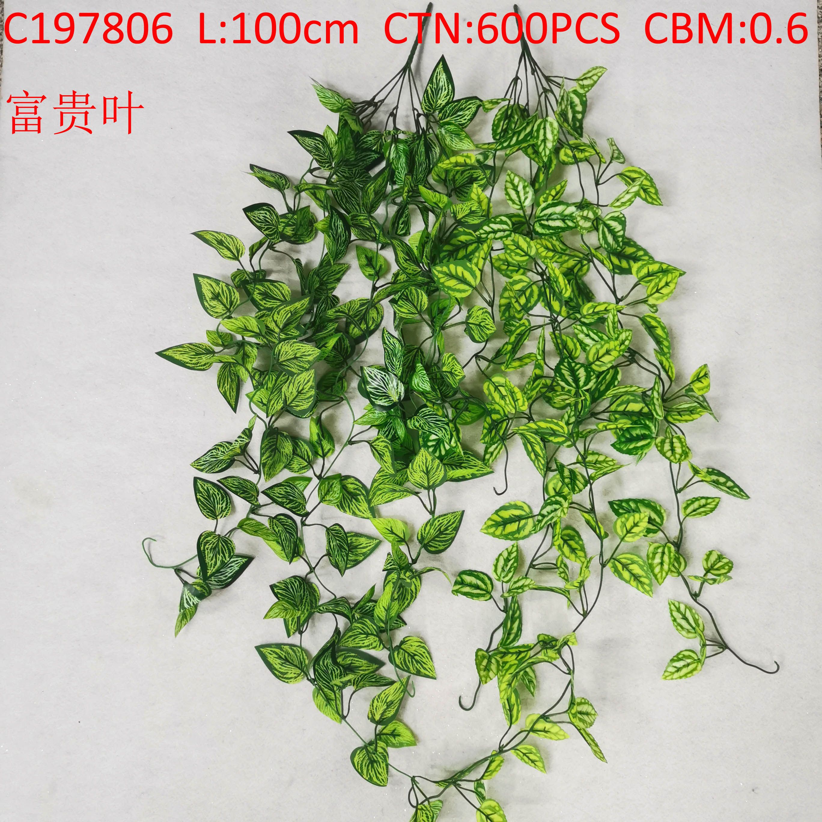 Rich leaf C197806
