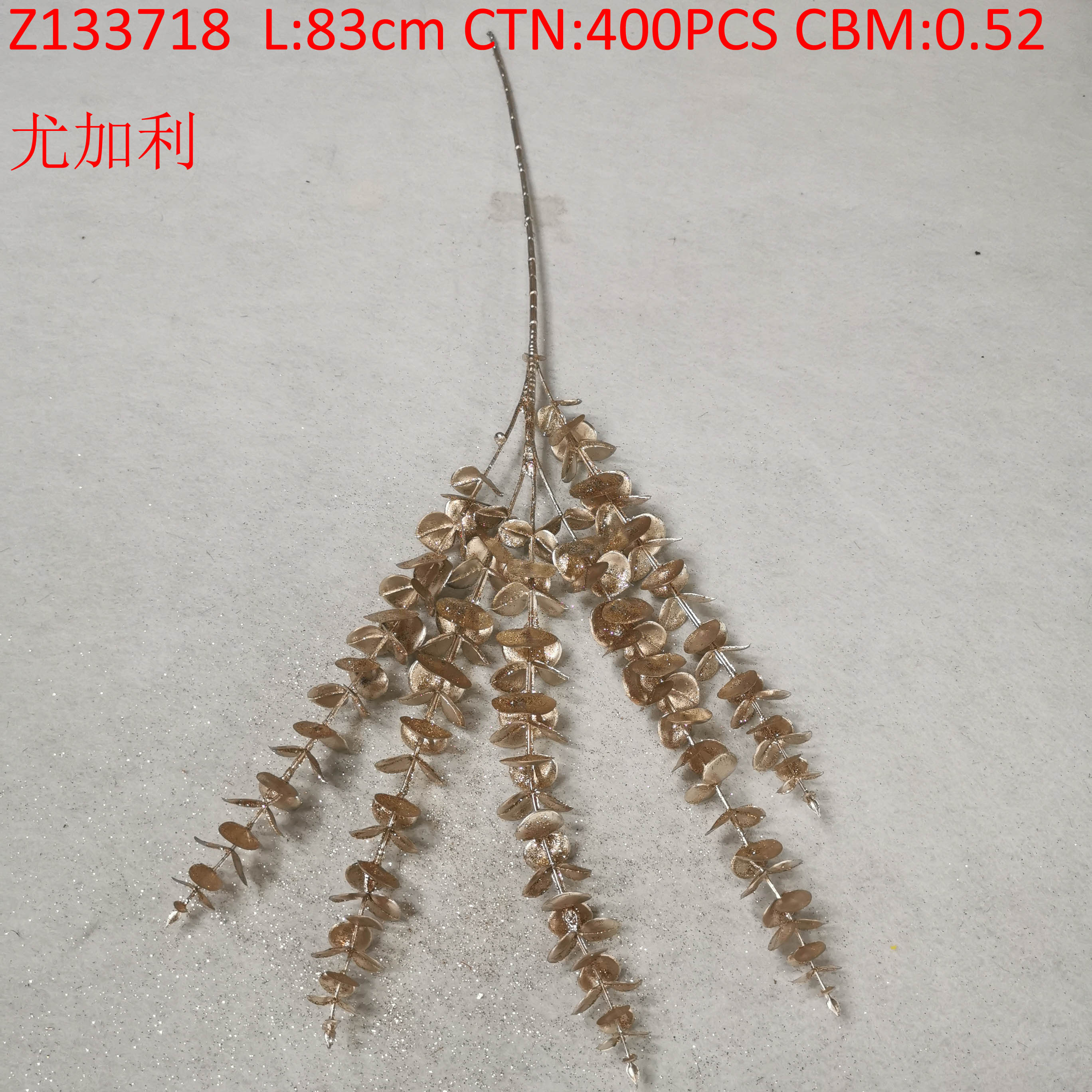 Eucalyptus Z133718