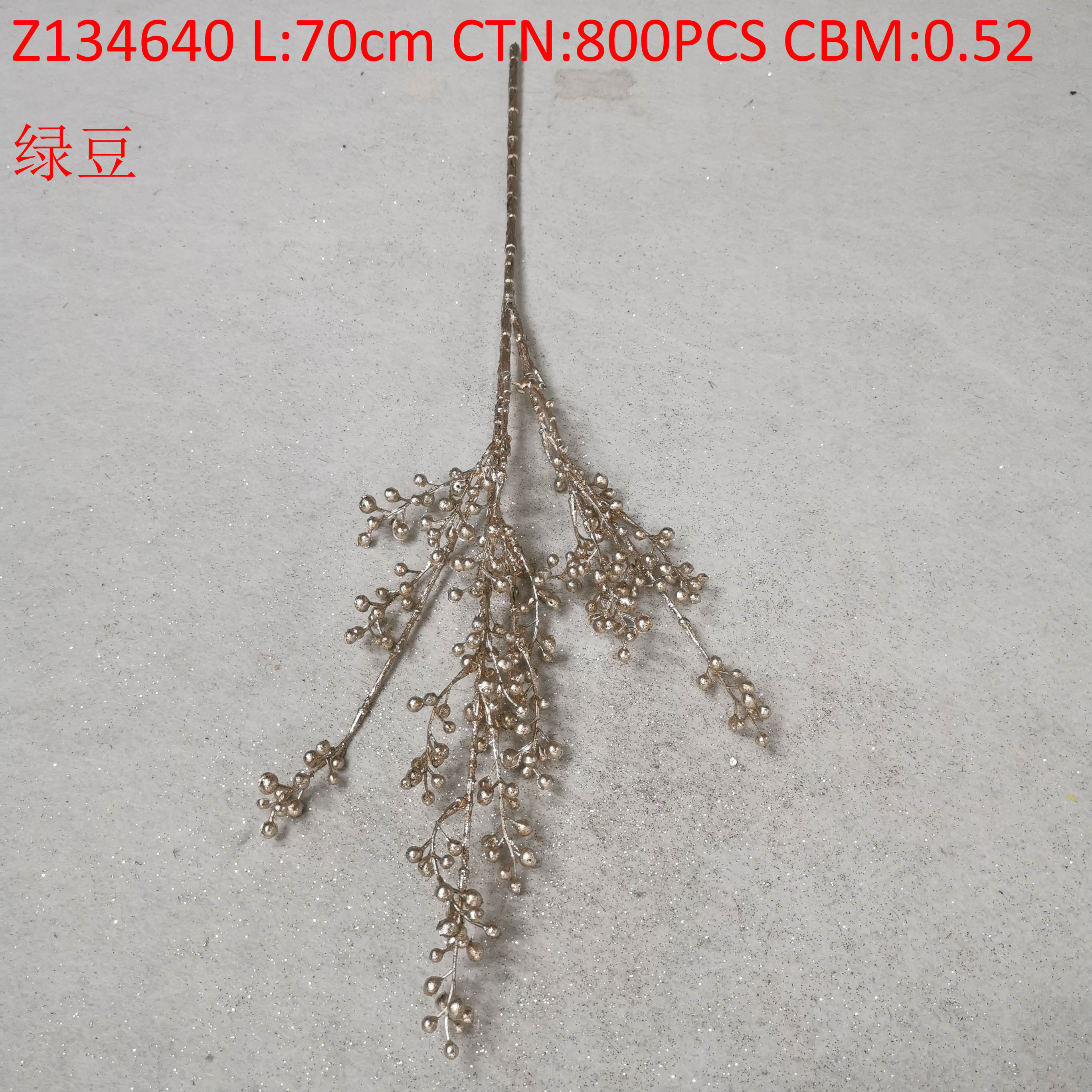 Green bean Z134640