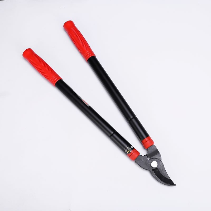 1732 Small Head Telescopic Branch Scissors