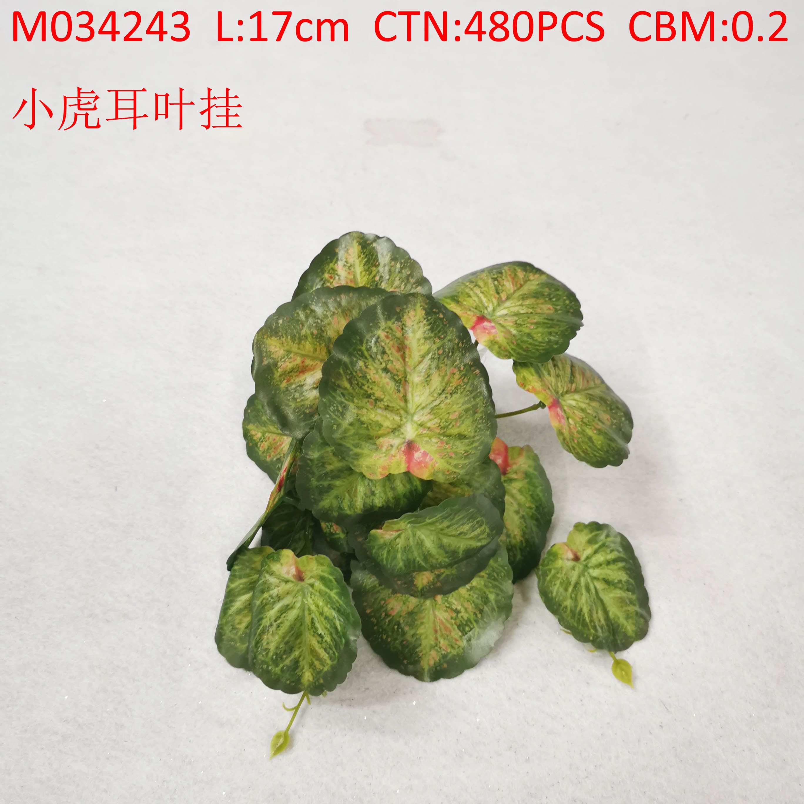 Tiger ear leaf hanging M034243