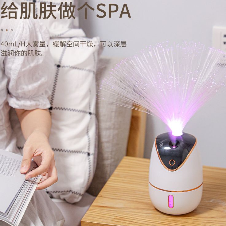 LED光纤花七彩氛围灯可充电家用满天星雾化加湿器