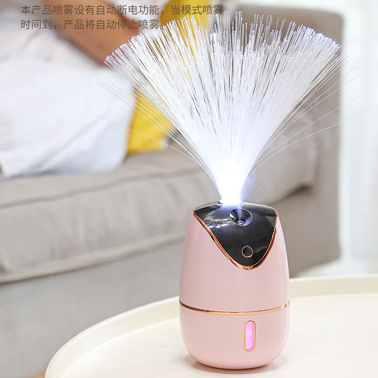 LED光纤花七彩氛围灯可充电家用满天星雾化加湿器