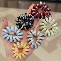 725 Chrysanthemum