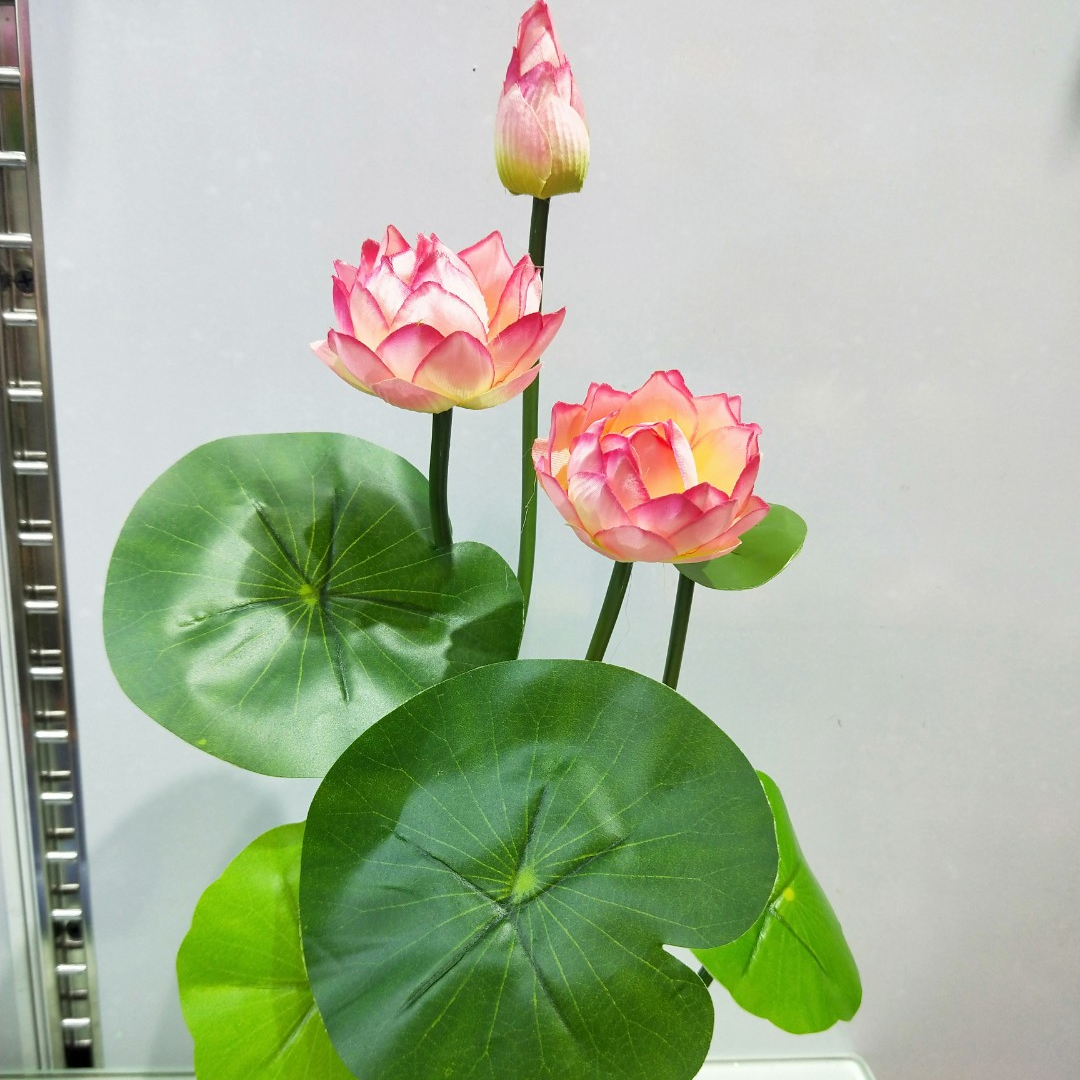 仿真蝴蝶兰盆栽多肉植物DIY迷你绿植仿真树居家装饰绿化