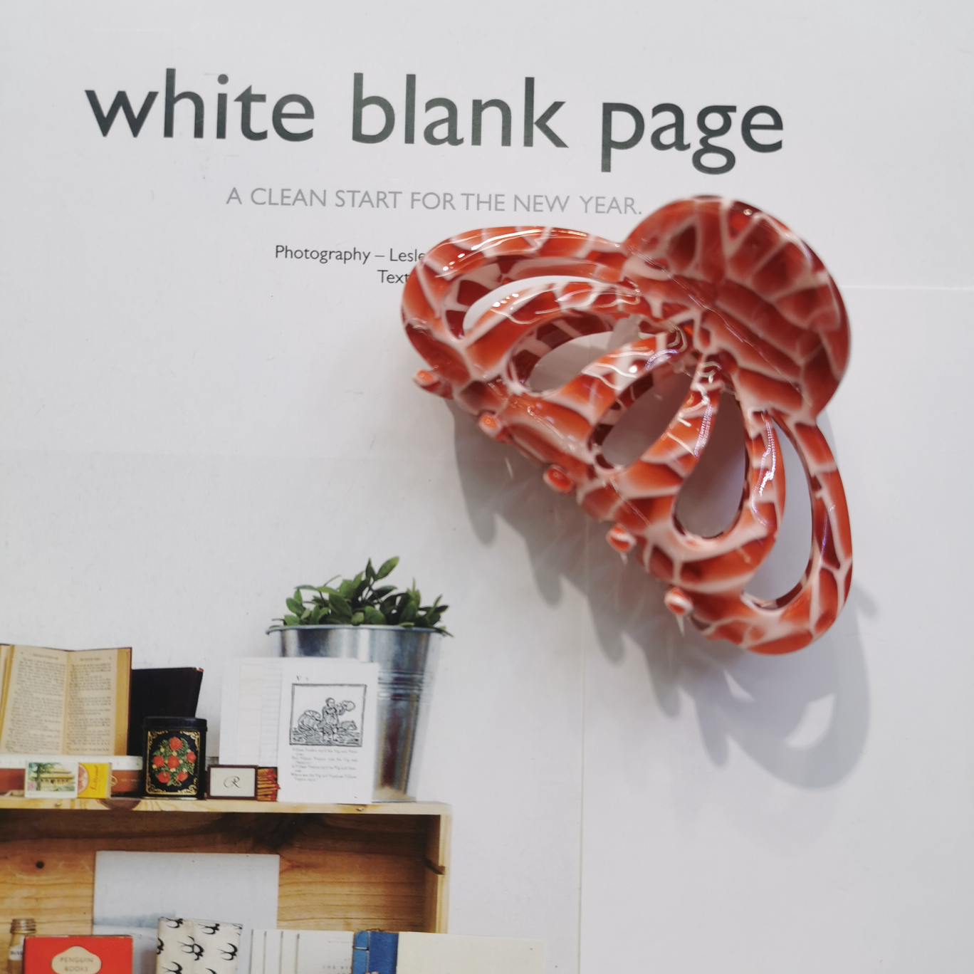 连体醋酸时尚简约风网红发抓