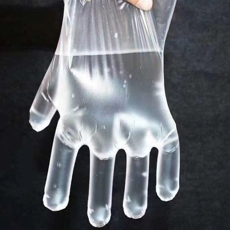 100 pieces of transparent thickened PE film gloves for kitchen and catering imported from South Korea details Picture