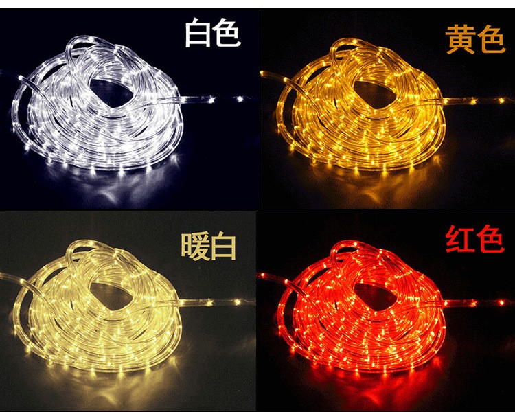 圆二线LED灯带彩虹管户外装饰霓虹灯条防水灯串扁三线详情图2