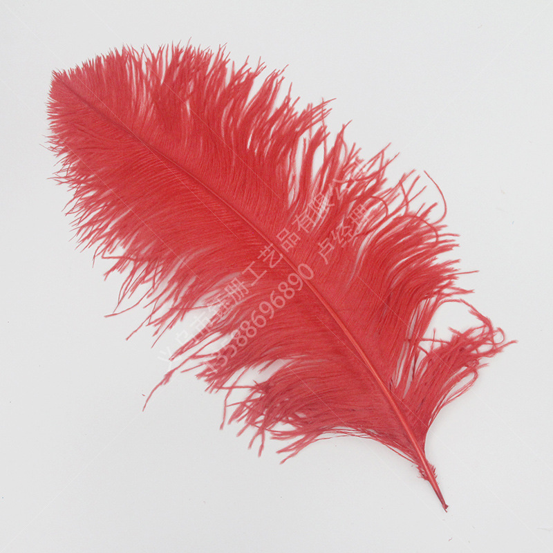 厂家直销现货批发鸵鸟羽毛大毛花粗干彩色55-60cm白鸵鸟毛婚庆用