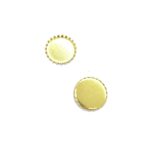 XW06930 Solid disc single-sided teeth