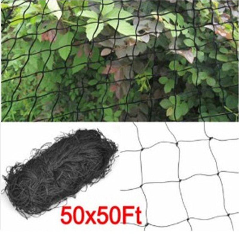 黑色尼龙防护鸟网渔网防护网果园网颜色和长度可定做细节图