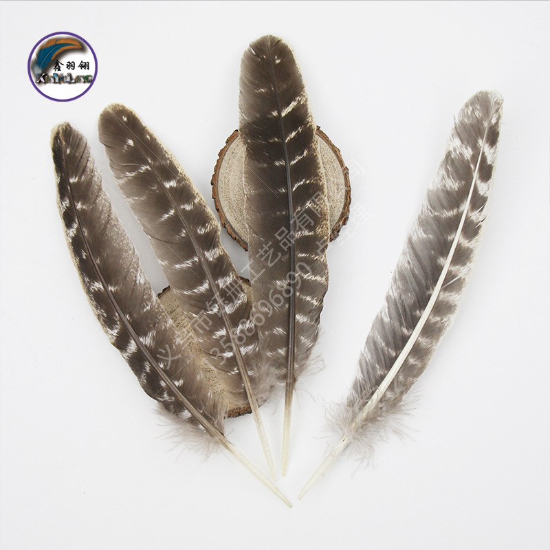 厂价直销20-25厘米天然色相框摆饰装饰羽毛花火鸡花窝翎灰黑色