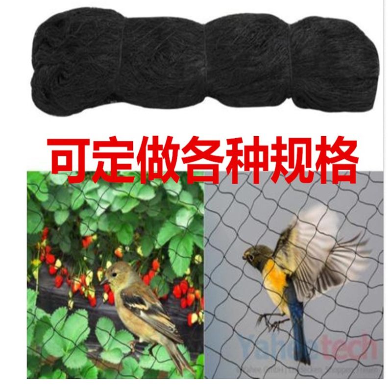 黑色尼龙防护鸟网渔网防护网果园网颜色和长度可定做