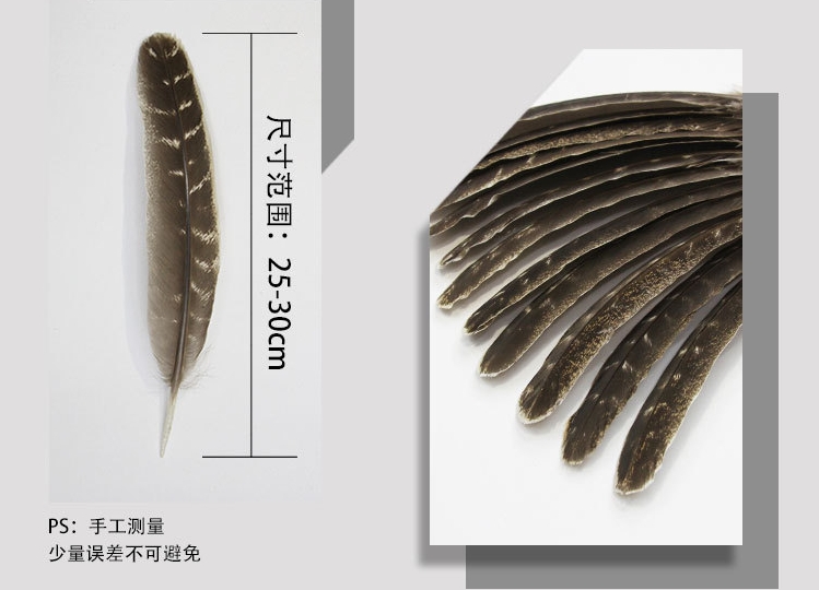 厂价直销20-25厘米天然色相框摆饰装饰羽毛花火鸡花窝翎灰黑色细节图