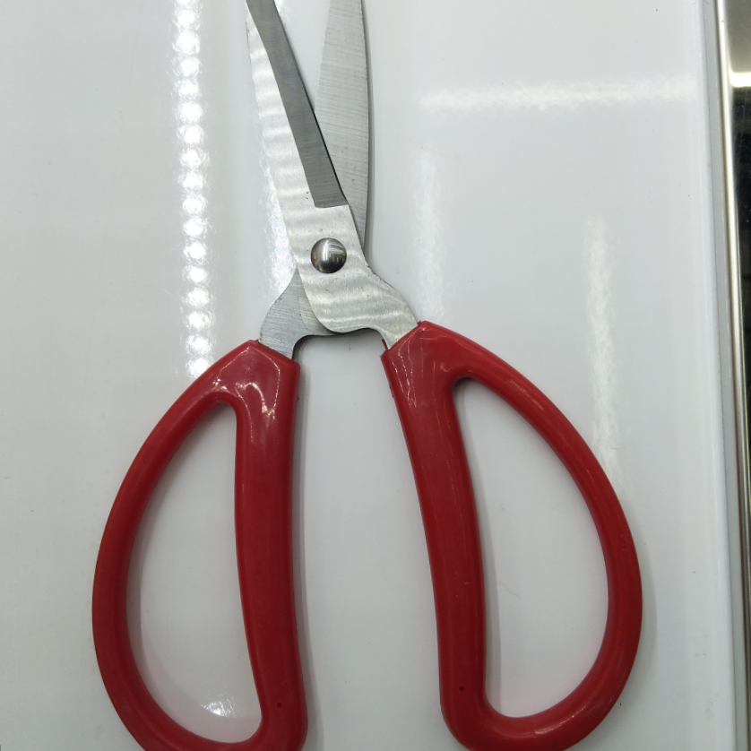 Household scissors, kitchenware scissors, civilian scissors, essential knives for home use full figure