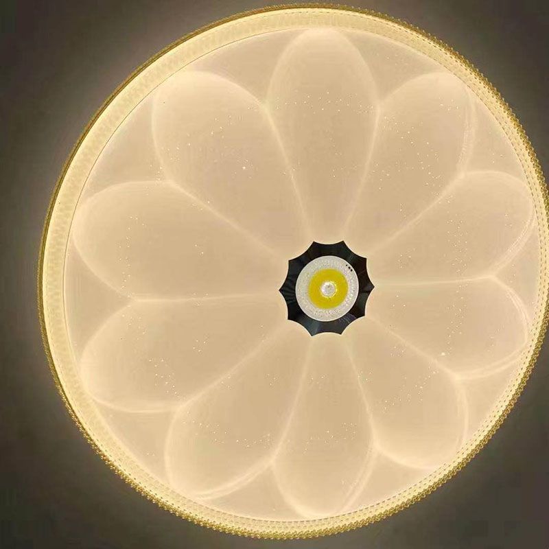 LED吸顶灯LED卧室灯LED阳台灯LED过道灯细节图