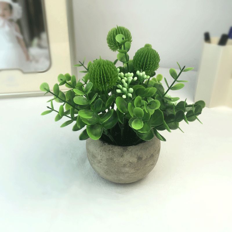 Amazon eucalyptus leaf potted plant mini pine needle micro-landscape chrysanthemum tea simulation potted plant office desk decoration supplies