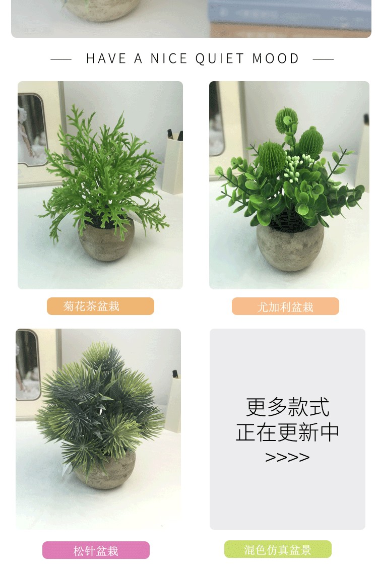 Amazon eucalyptus leaf potted plant mini pine needle micro-landscape chrysanthemum tea simulation potted plant office desk decoration supplies detail image 6