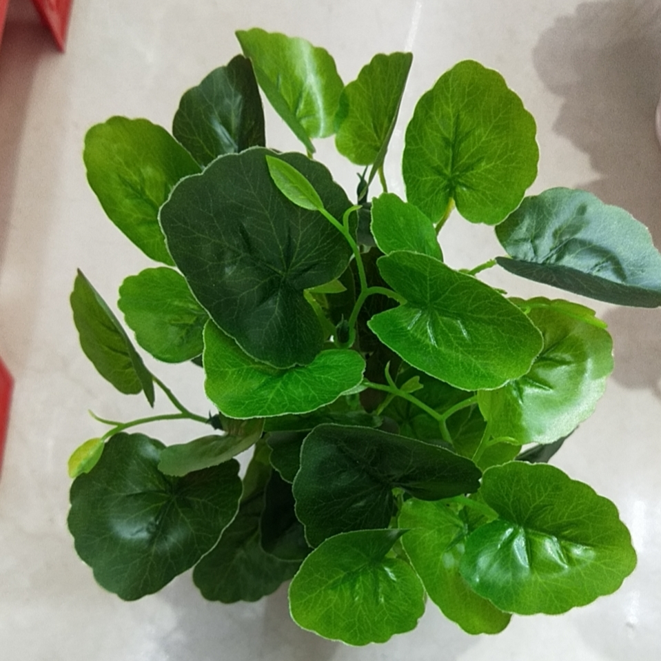 仿真植物假绿植仿真花饰品网吧卧室酒店会所塑料摆件绿萝盆栽