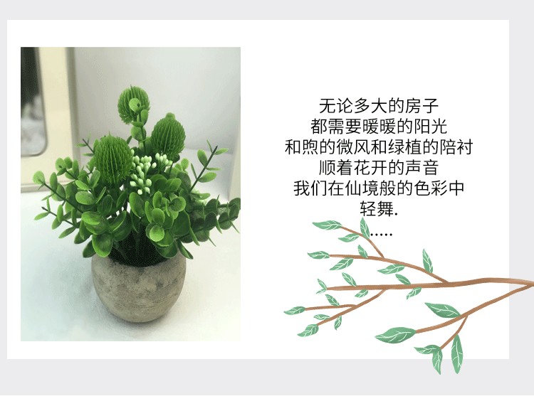 Amazon eucalyptus leaf potted plant mini pine needle micro-landscape chrysanthemum tea simulation potted plant office desk decoration supplies detail image 2