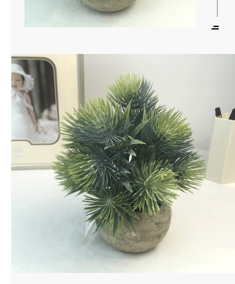Amazon eucalyptus leaf potted plant mini pine needle micro-landscape chrysanthemum tea simulation potted plant office desk decoration supplies detail image 8