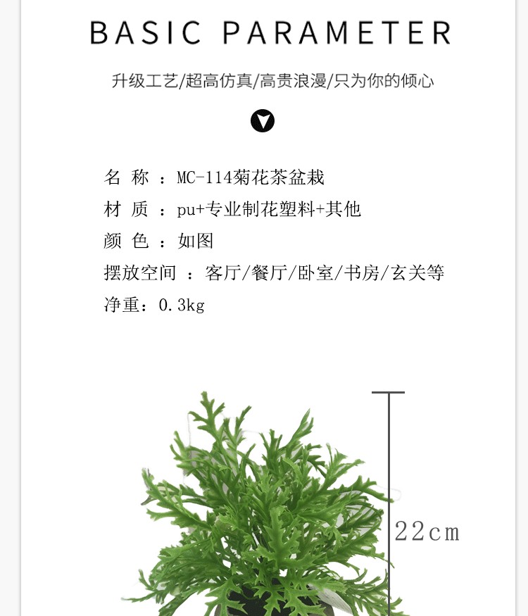 Amazon eucalyptus leaf potted plant mini pine needle micro-landscape chrysanthemum tea simulation potted plant office desk decoration supplies detail image 4