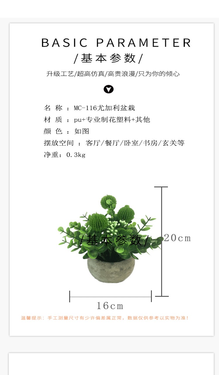 Amazon eucalyptus leaf potted plant mini pine needle micro-landscape chrysanthemum tea simulation potted plant office desk decoration supplies detail image 3
