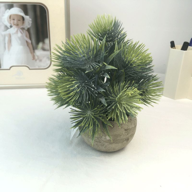 Amazon eucalyptus leaf potted plant mini pine needle micro-landscape chrysanthemum tea simulation potted plant office desk decoration supplies details Picture