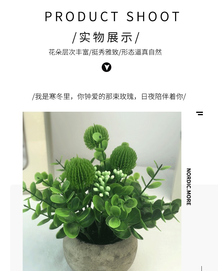 Amazon eucalyptus leaf potted plant mini pine needle micro-landscape chrysanthemum tea simulation potted plant office desk decoration supplies detail image 7