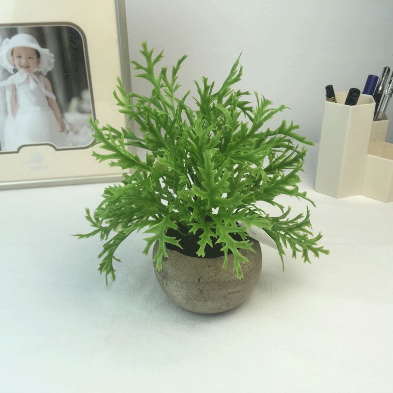 Amazon eucalyptus leaf potted plant mini pine needle micro-landscape chrysanthemum tea simulation potted plant office desk decoration supplies Specification image