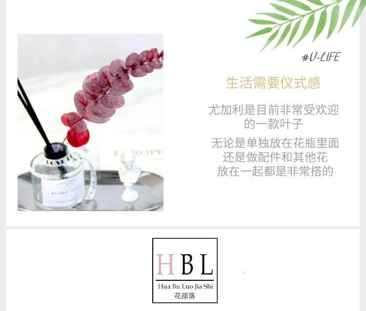 Nordic ins simulation single eucalyptus money leaf plastic flower artificial green plant leaf vase, forest style detail image 2