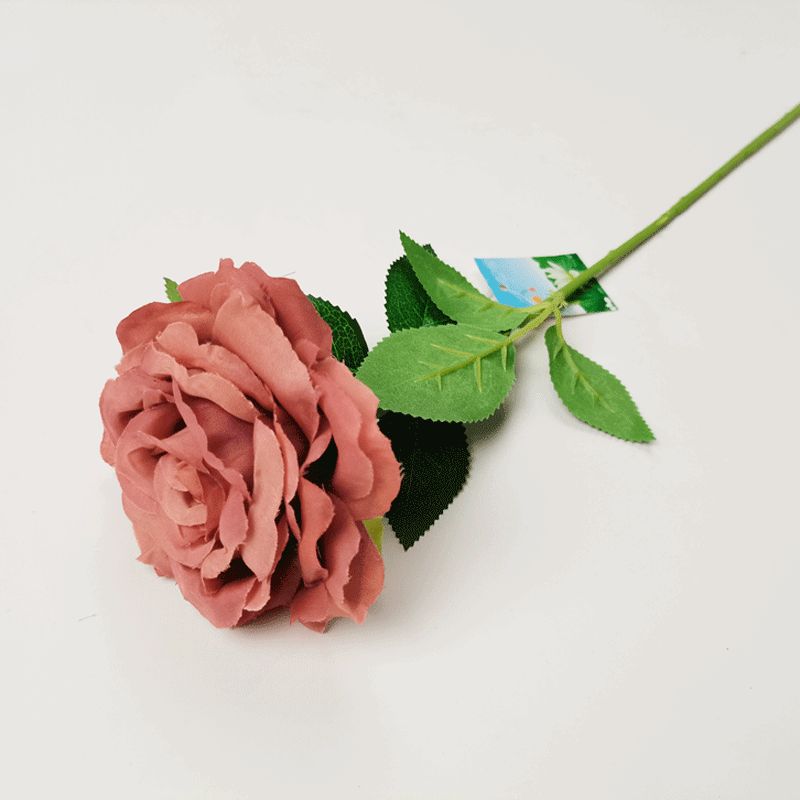 rosa Specification image