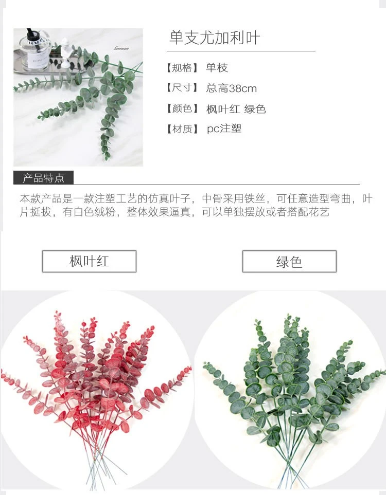 Nordic ins simulation single eucalyptus money leaf plastic flower artificial green plant leaf vase, forest style detail image 3