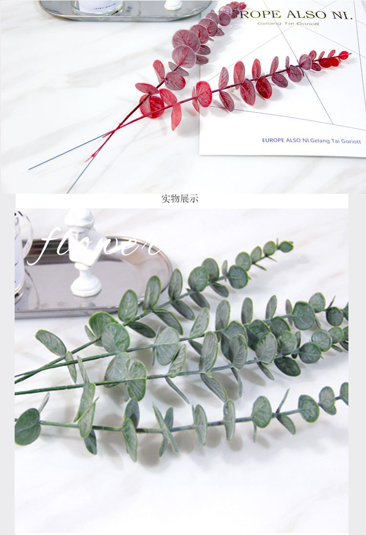 Nordic ins simulation single eucalyptus money leaf plastic flower artificial green plant leaf vase, forest style detail image 7