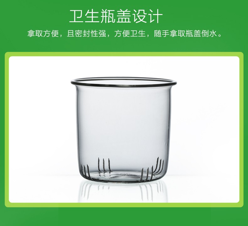 Wholesale Ruyi teapots, high borosilicate heat-resistant glass teapots, flower teapots and Gongfu tea sets detail image 2