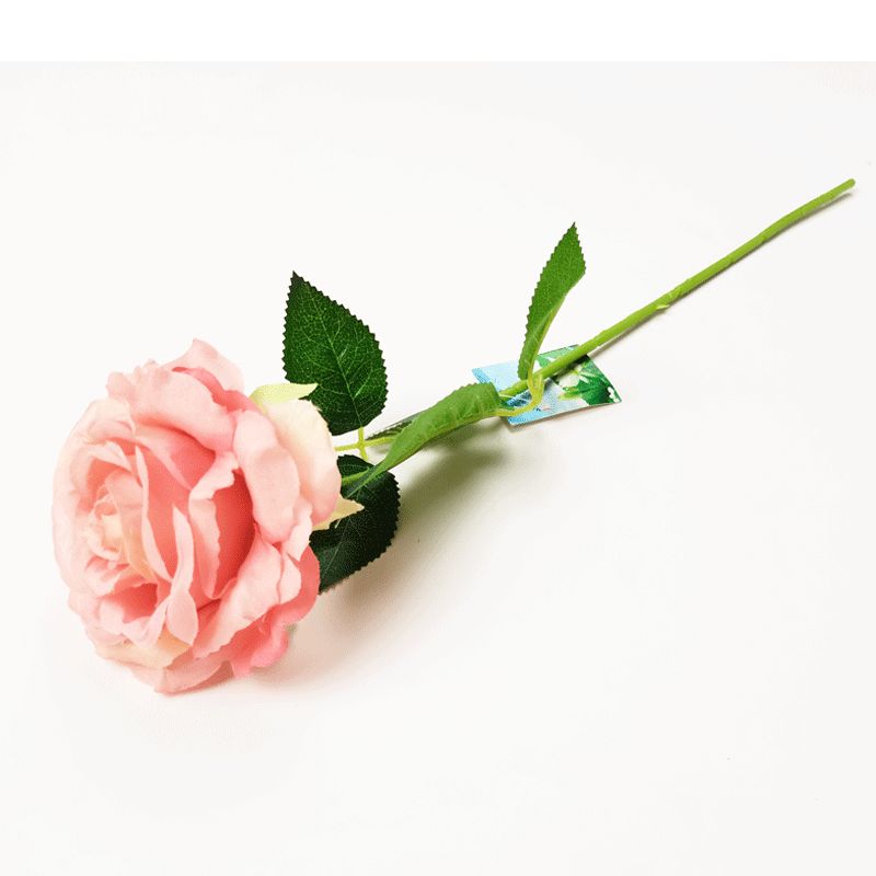 rosa Item Picture