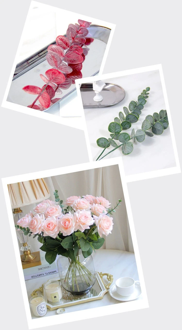 Nordic ins simulation single eucalyptus money leaf plastic flower artificial green plant leaf vase, forest style detail image 9