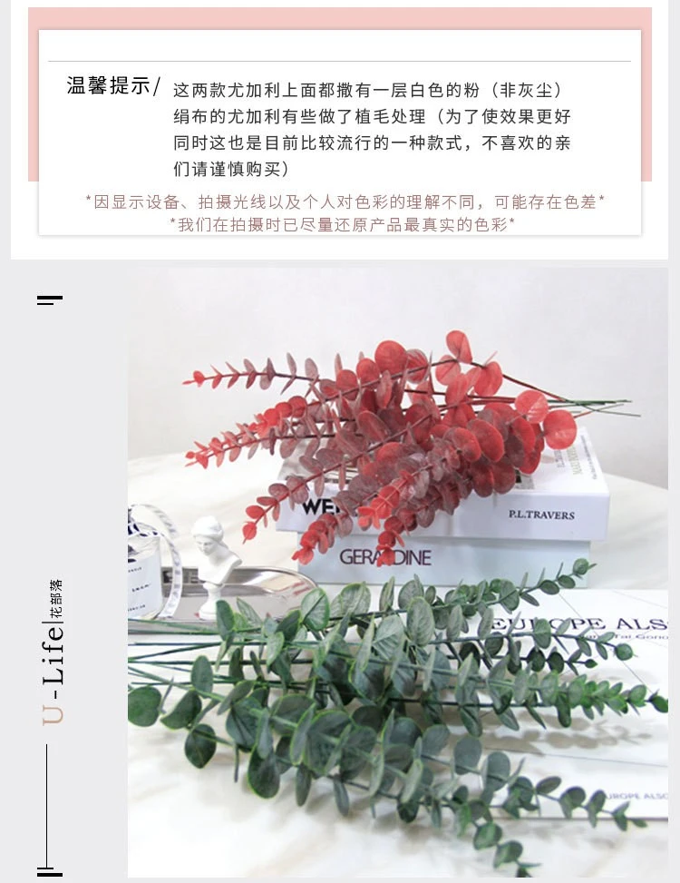 Nordic ins simulation single eucalyptus money leaf plastic flower artificial green plant leaf vase, forest style detail image 5