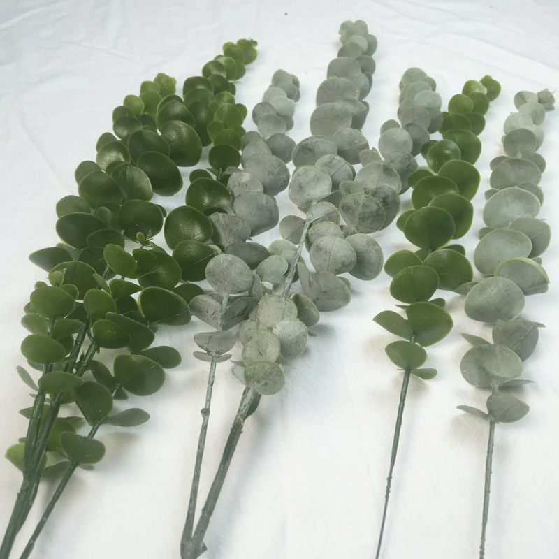 A single artificial eucalyptus leaf details Picture