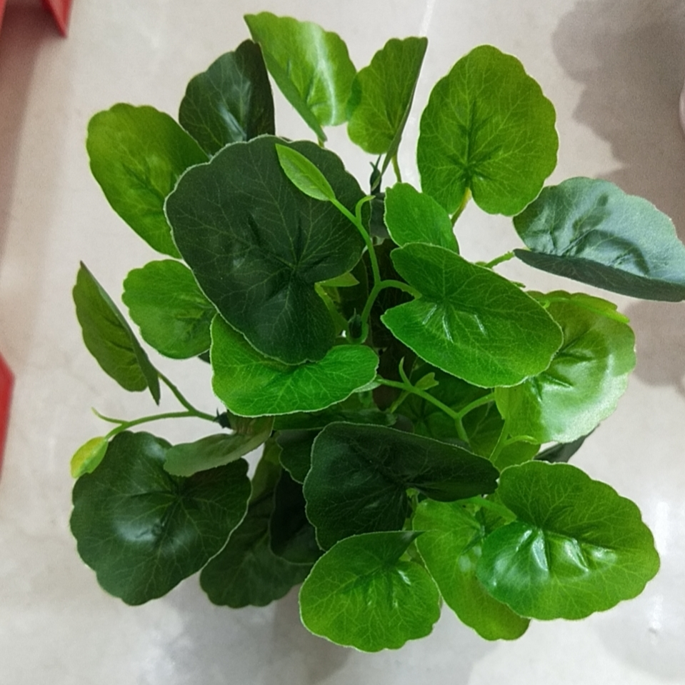 假花仿真花装饰客厅塑料花植物等小盆景卧室餐桌酒柜创意摆件工艺品带盆