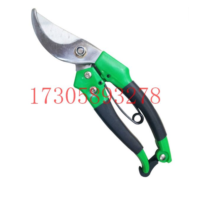البستنة المباشرة/البستنة/مقصات الأدوات المعدنية/مقصات الزهور YYJ-2. Specification image