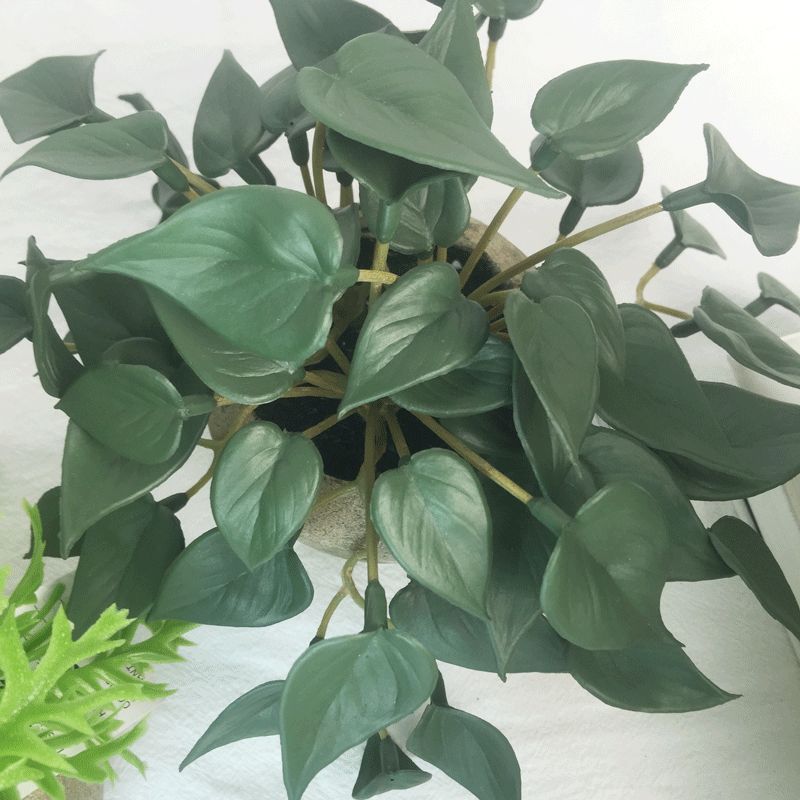 Anthurium leaf simulation micro-landscape, turtle-back leaf potted plant, bay leaf bonsai, photography props and decorations are available on Amazon Item Picture