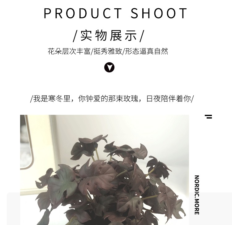 Anthurium leaf simulation micro-landscape, turtle-back leaf potted plant, bay leaf bonsai, photography props and decorations are available on Amazon detail image 6