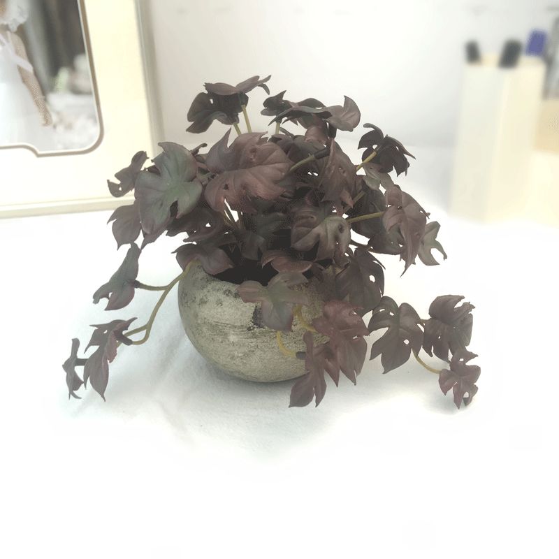 Anthurium leaf simulation micro-landscape, turtle-back leaf potted plant, bay leaf bonsai, photography props and decorations are available on Amazon