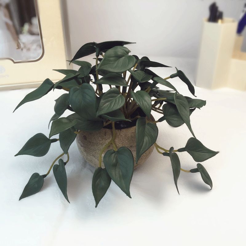Anthurium leaf simulation micro-landscape, turtle-back leaf potted plant, bay leaf bonsai, photography props and decorations are available on Amazon Application Scenario